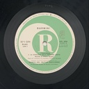 Banco del Mutuo Soccorso – Darwin! (LP usado)