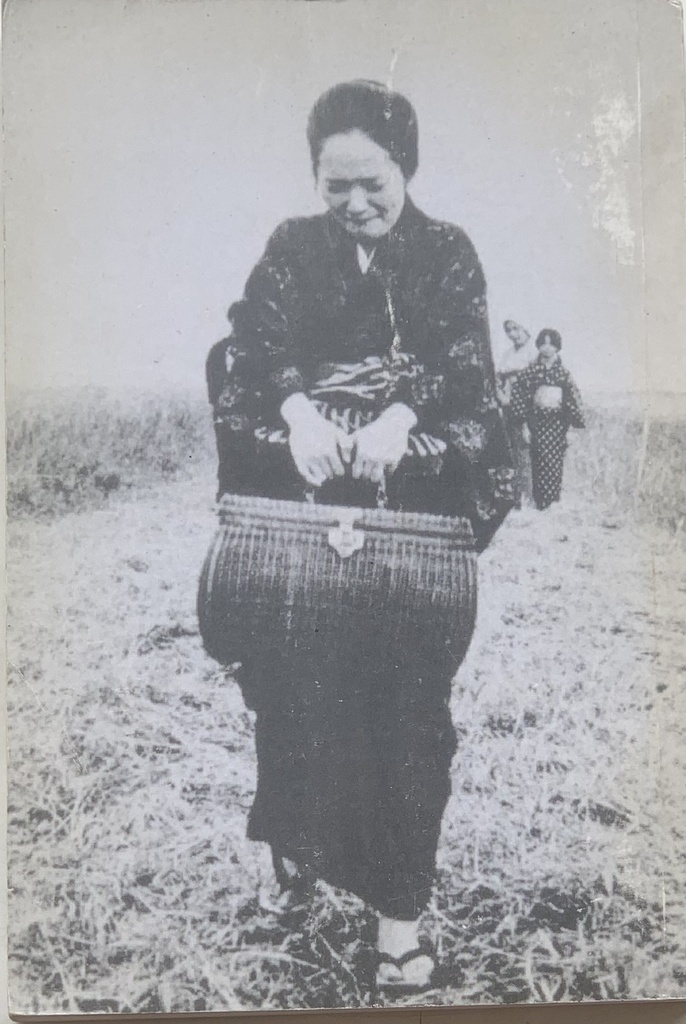 Cinema Brasileiro nos Anos 80,O - Guido Bilharino (Livro usado)