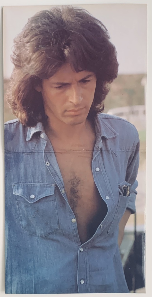 Claudio Baglioni – Alé-Oó (2LPs usado)