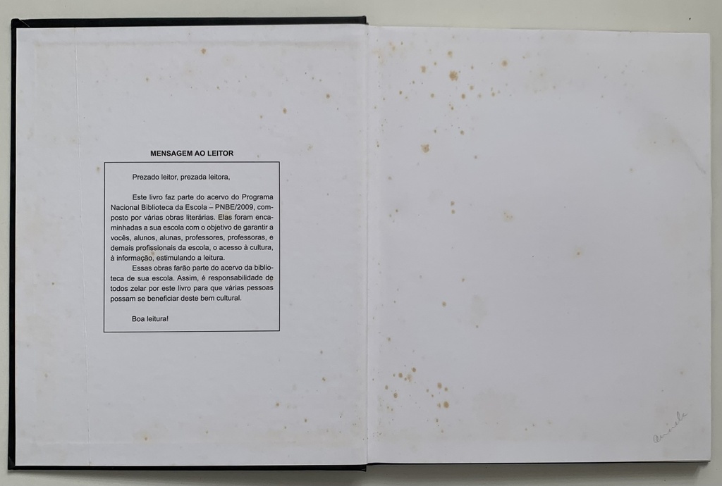 Bailes: Soul, Samba-rock, Hip Hop e Identidade em São Paulo (Livro usado)