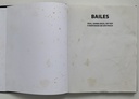 Bailes: Soul, Samba-rock, Hip Hop e Identidade em São Paulo (Livro usado)