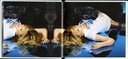 Kylie [Minogue] - Aphrodite (CD/DVD usado)