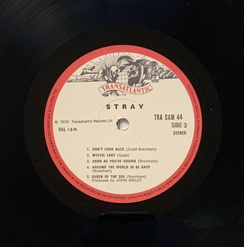 Stray - Reflecting a Generation (LP usado)