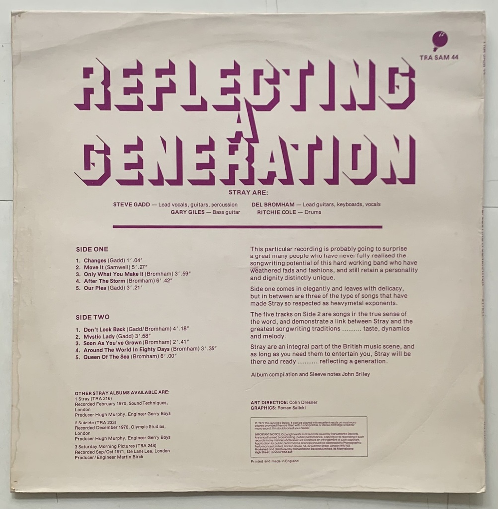 Stray - Reflecting a Generation (LP usado)