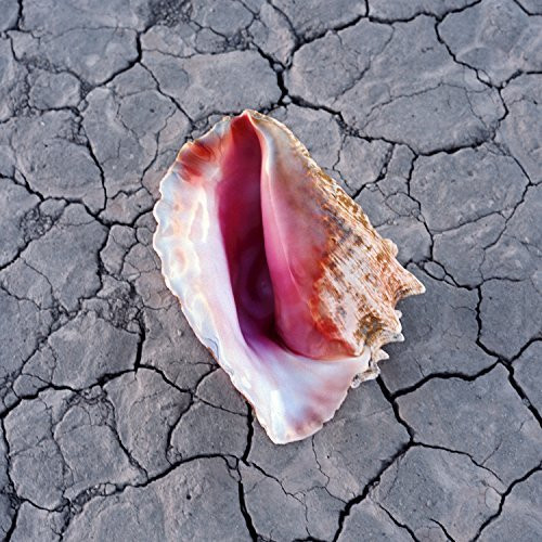 Killers,The - Wonderful Wonderful (CD novo)