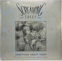 Screaming Trees - Something About Today [Special Edition]  (EP 12" usado)