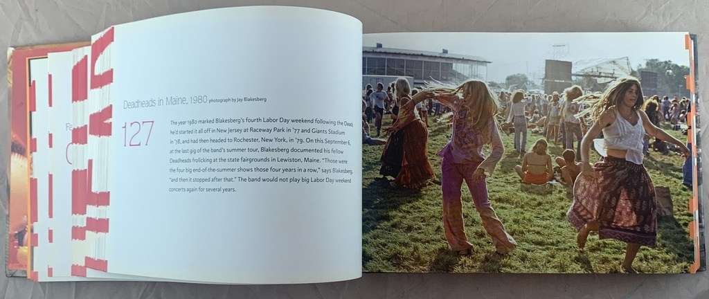 Grateful Dead 365 - Holly George-Warren (livro usado)