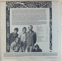 Beach Boys, The (LP usado)