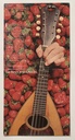 Strawbs - The Best of Strawbs (2LPs usado)