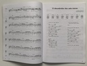 Partitura - As Interpretações de Tim Maia (Livro s/uso)