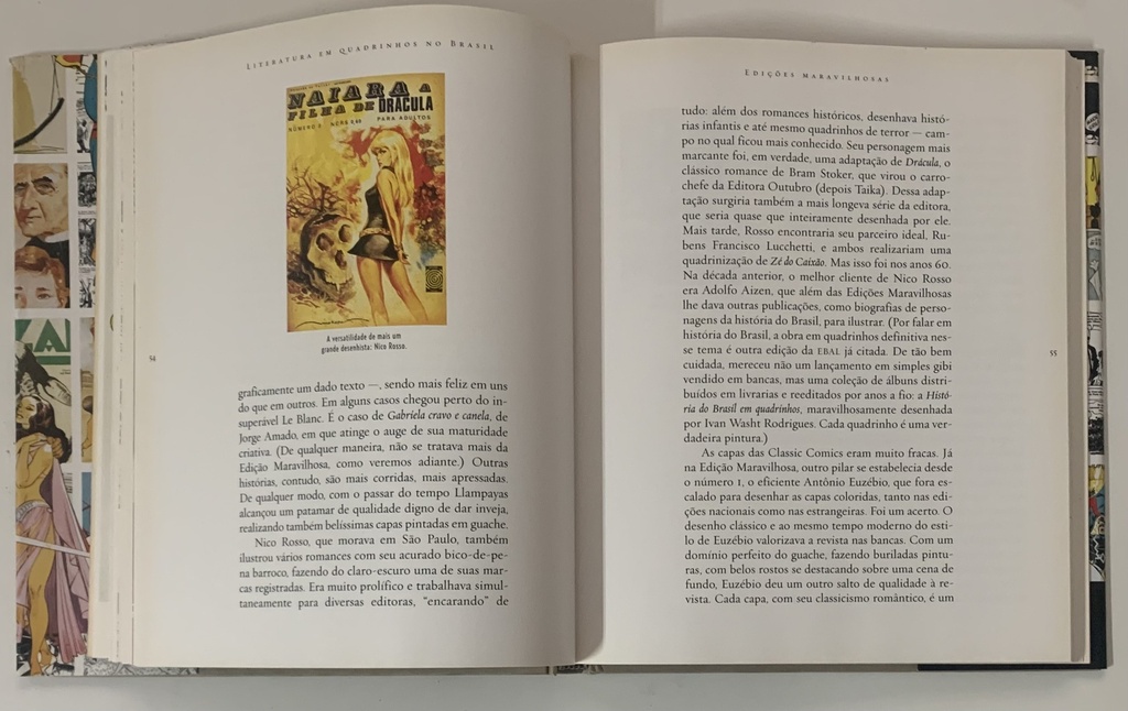 Literatura em Quadrinhos no Brasil (Livro Usado)