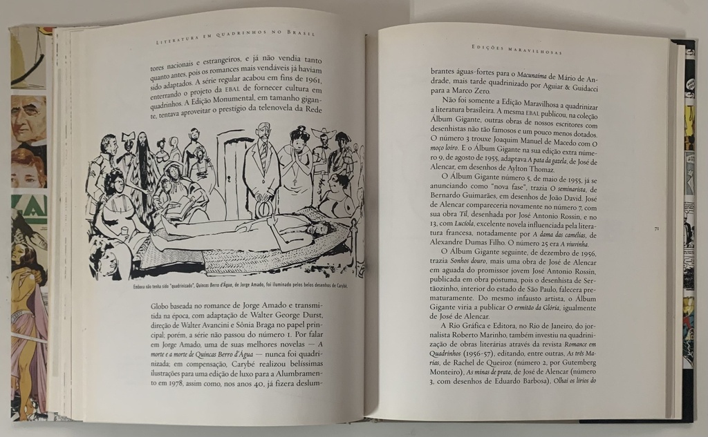 Literatura em Quadrinhos no Brasil (Livro Usado)