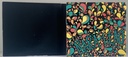 Nara Leão – Nara Tropicália (2CDs usado)
