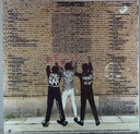 V/A - Burning Ambitions: A History Of Punk (2LPs usado)