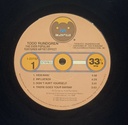 Todd Rundgren - The Ever Popular Tortured Artist Effect (LP usado)