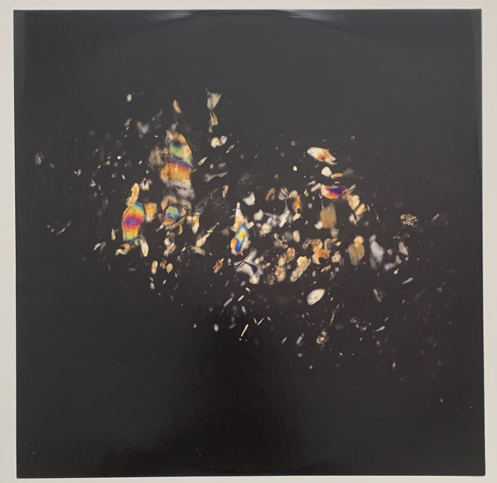 Ganjas,The - Resistance (LP usado)