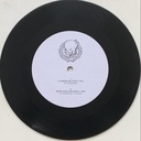 Raf F. Guimarães - O Vampiro em Voçê/(Meine Sube) Schlampe! (Vinil 7" Novo)