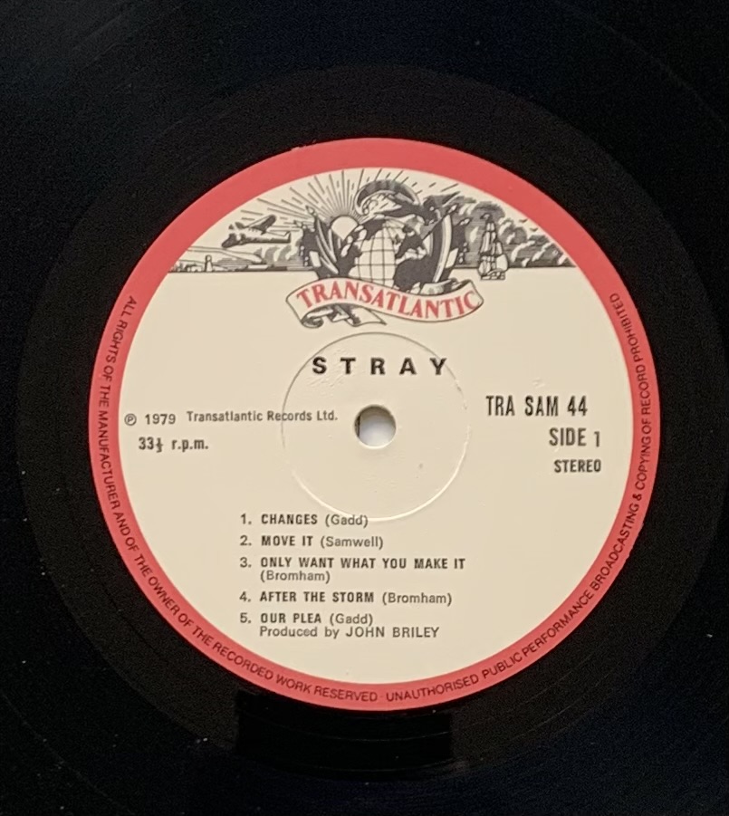 Stray - Reflecting a Generation (LP usado)