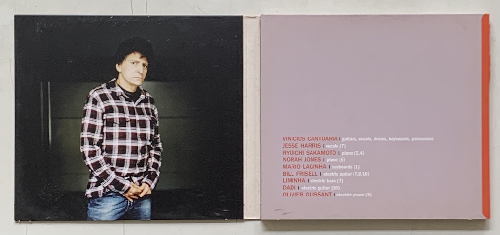 Vinicius Cantuária - Indio de Apartamento (CD usado)