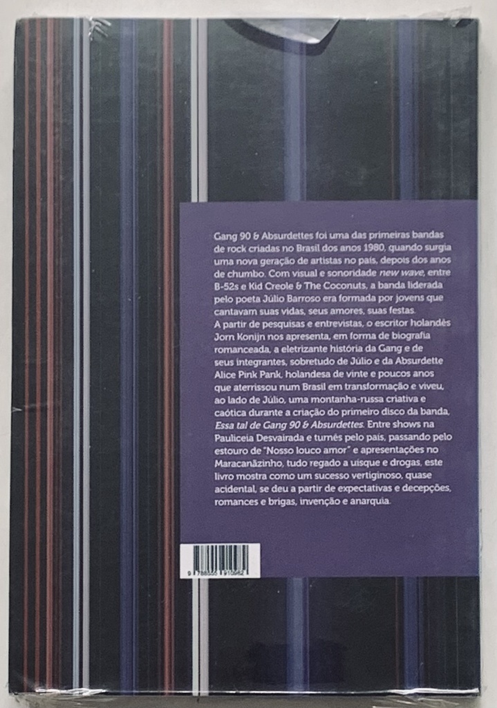 Livro do Disco - Gang 90 & Absurdettes : Essa tal de Gang 90 & Absurdettes ( Livro novo)