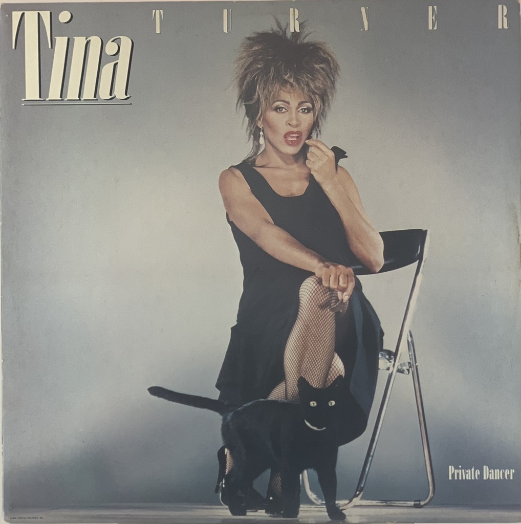 Tina Turner - Private Dancer (LP usado)