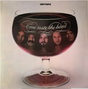 Deep Purple - Come Taste The Band (LP usado)