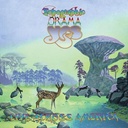 Yes - Topographic Drama (2CDs usado)