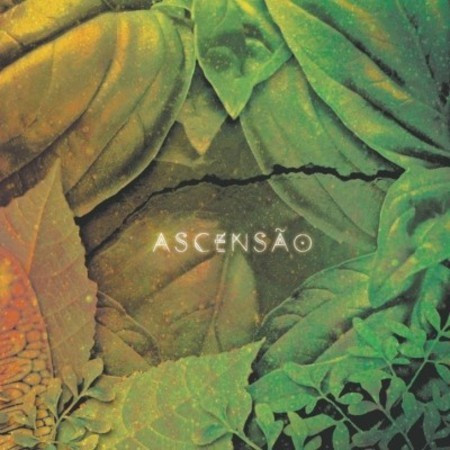 Serena Assumpção - Ascensão (CD usado)