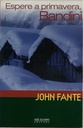 John Fante - Espere a Primavera Bandini (livro usado)