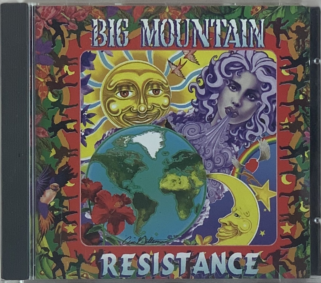 Big Mountain – Resistance (CD usado)