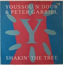 Youssou N'dour & Peter Gabriel - Shakin' The Tree (mix) (usado)