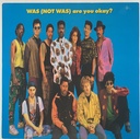 Was(Not Was) - Are You Okay? (LP usado)