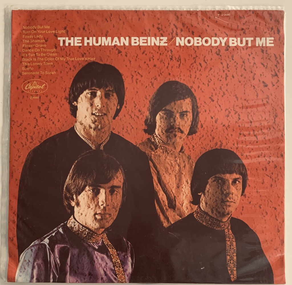 Human Beinz, The (LP usado)