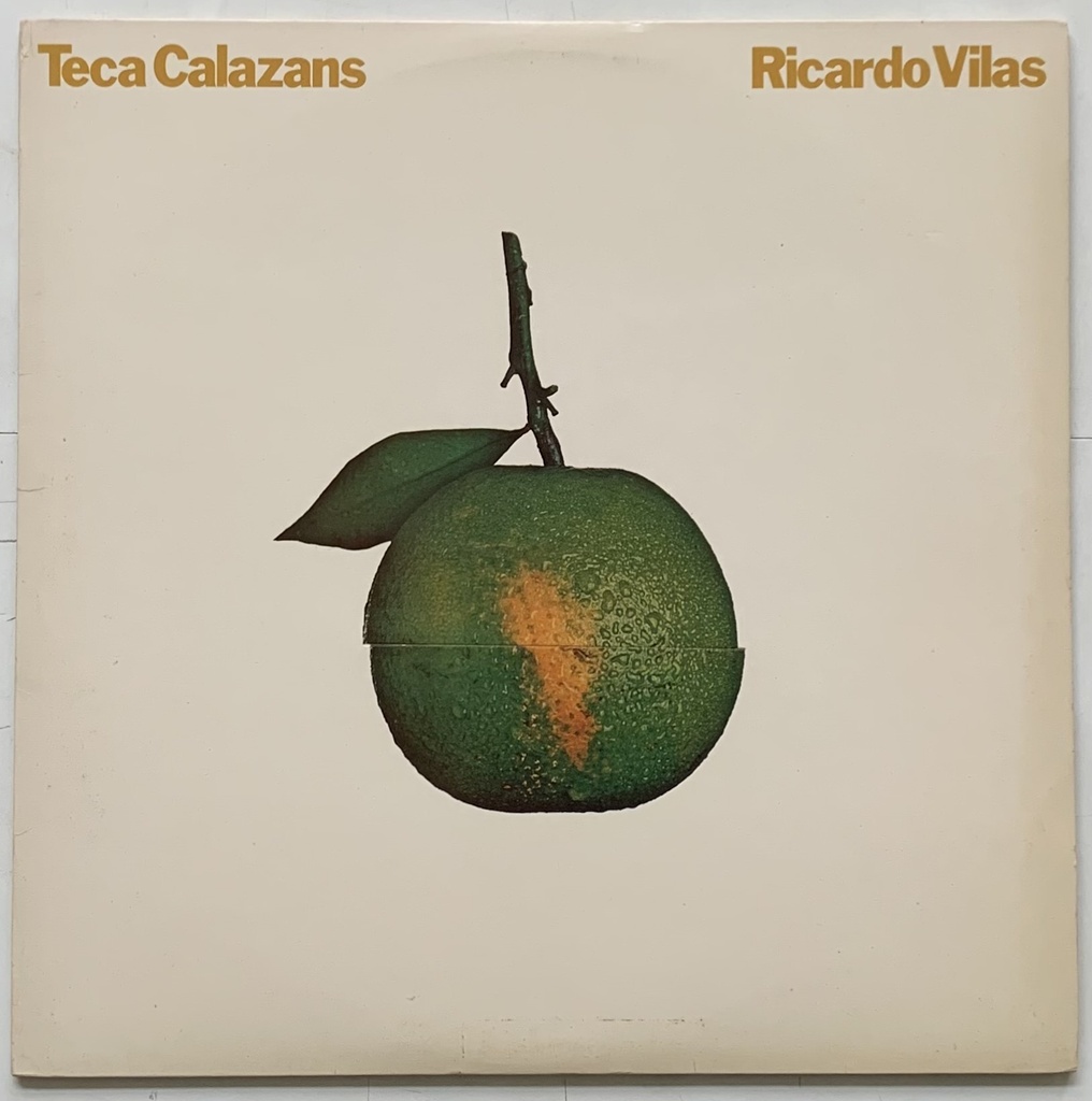 Teca Calazans, Ricardo Vilas - Eu Não Sou Dois (LP usado)