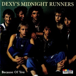 Dexy's Midnight Runners - Because Of You (CD usado)