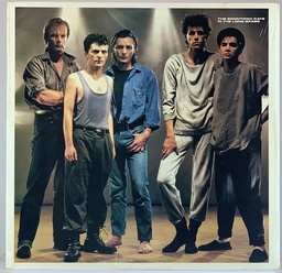 Boomtown Rats,The - In The Long Grass (LP usado)