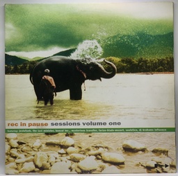 V/A - Rec in Pause Sessions Vol. One [Irma Records] (2LPs usado)