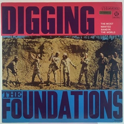 Foundations, The - Digging (LP usado)